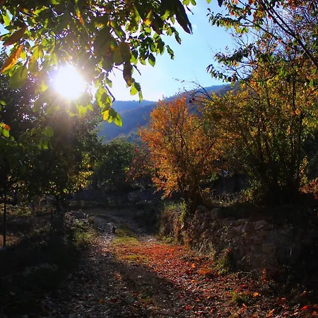 Apartment Villa, Relaxing-beautiful Mountain View, *
